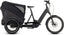 Vélo cargo électrique Cube trike hybrid cargo 750 grey´n´reflex