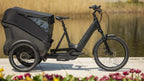 Vélo cargo électrique Cube trike hybrid cargo 1500 grey´n´reflex