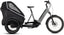 Vélo cargo électrique Cube trike hybrid family 1500 swampgrey´n´reflex