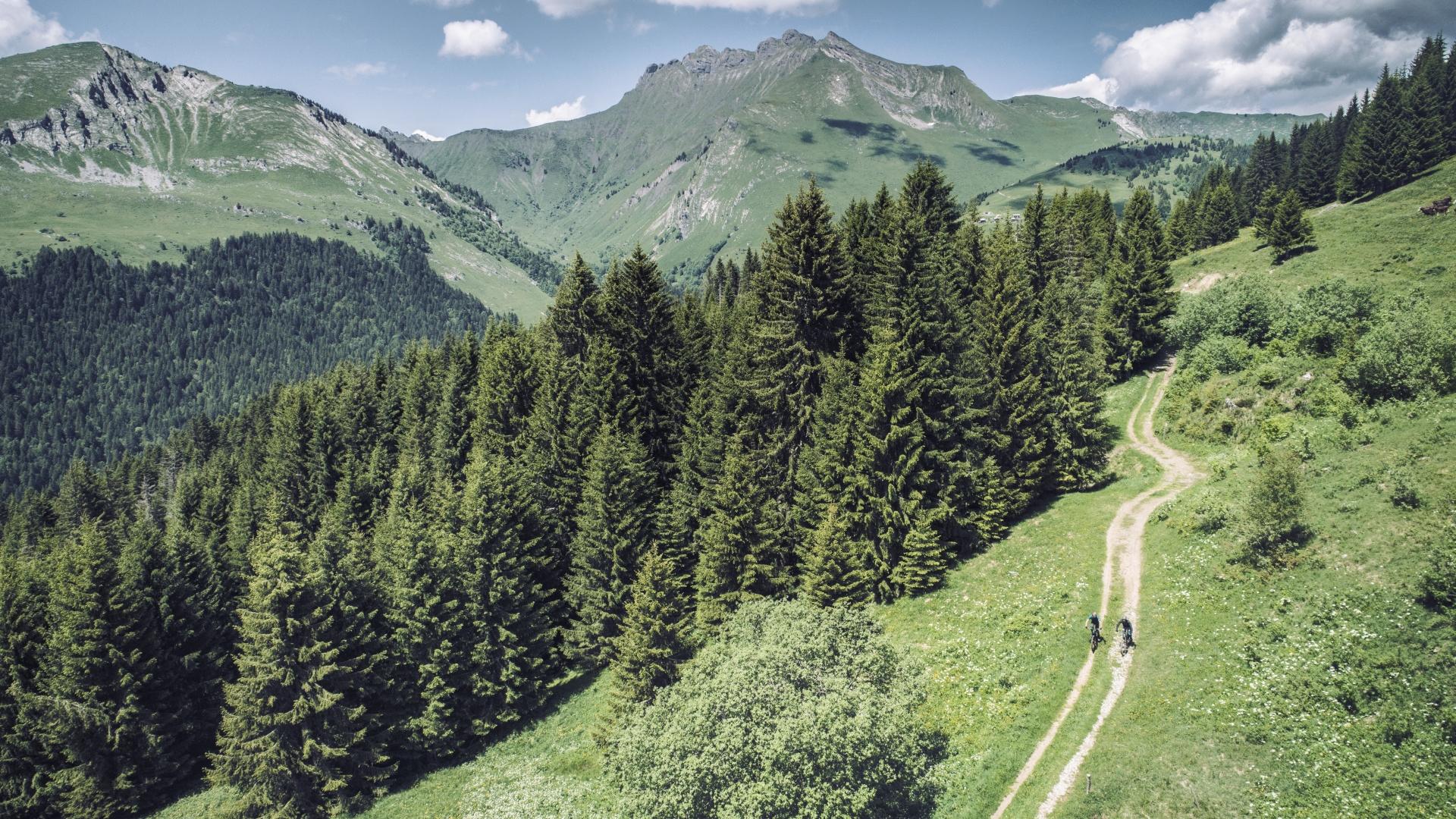 Vtt électrique Cube reaction hybrid race 750 switchblue´n´black